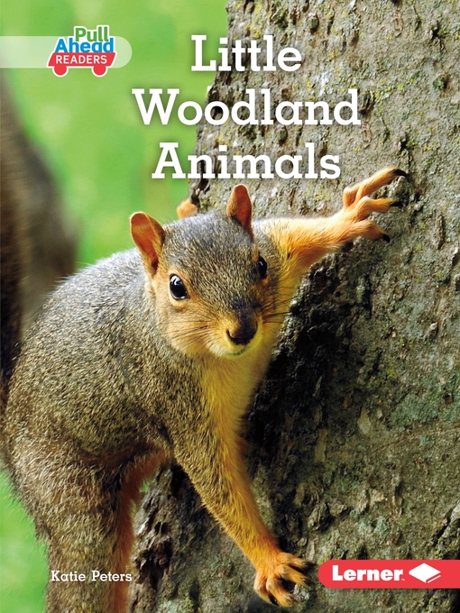 Title details for Little Woodland Animals by Katie Peters - Available